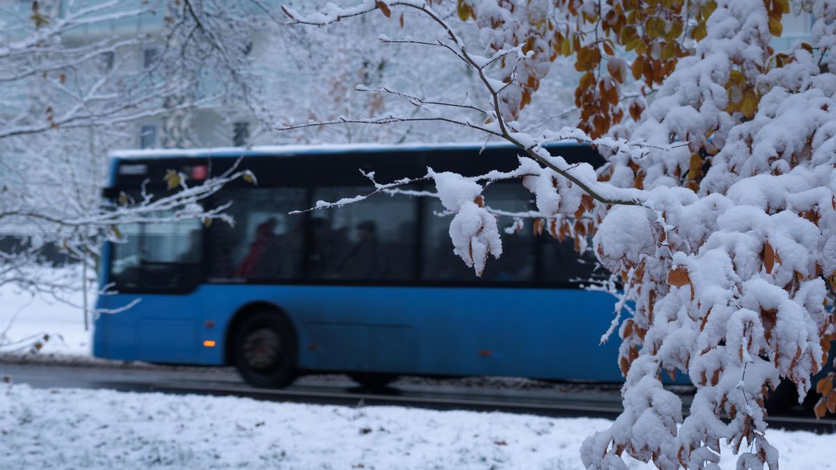 V Polsku se převrátil autobus s Ukrajinci, dvě desítky lidí odvezli do nemocnice